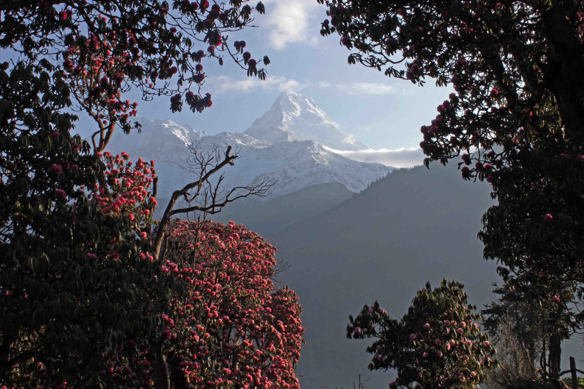 Große Annapurna Runde