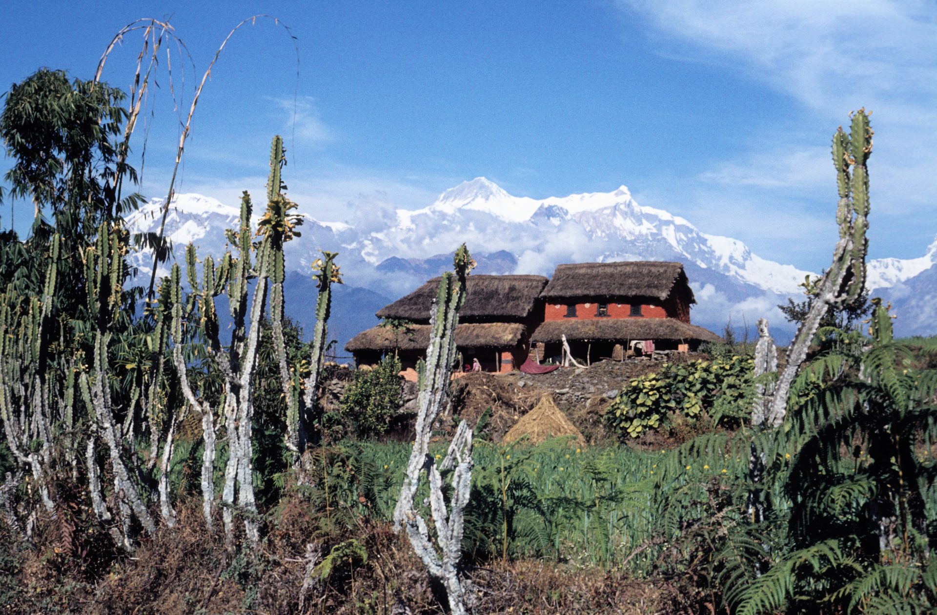 Sikles-Trek durch die Vorberge des Himalaya
