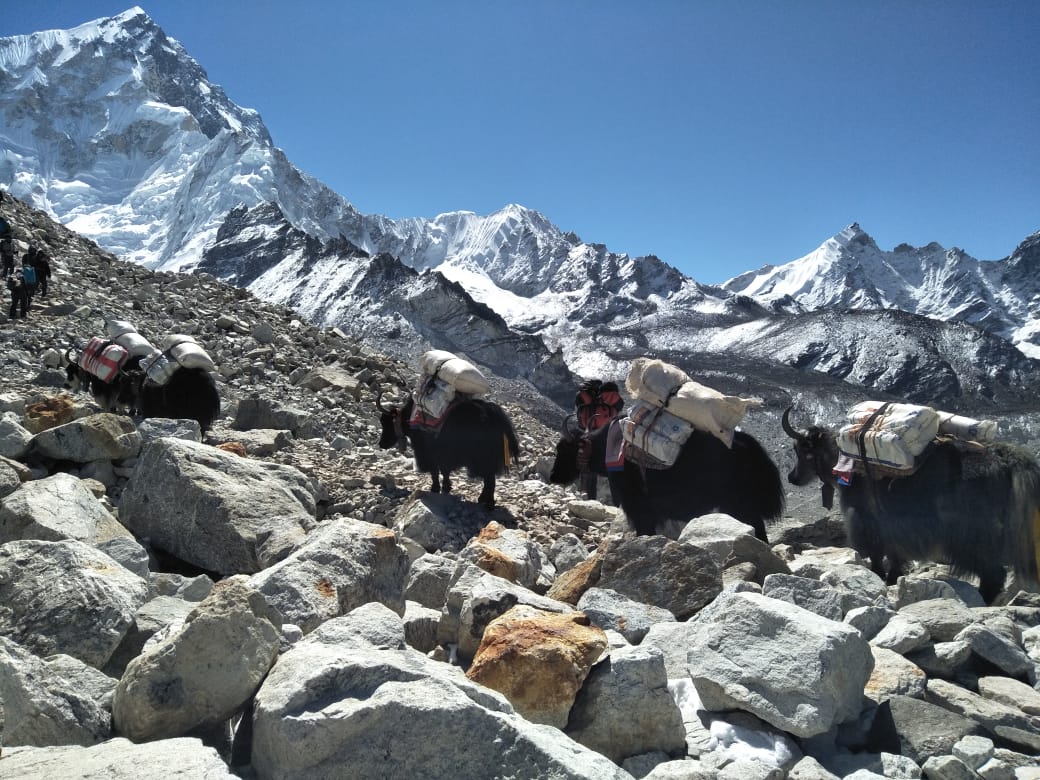 Kleine Khumbu Runde - von Lukla über Gokyo zum Everest Base Camp