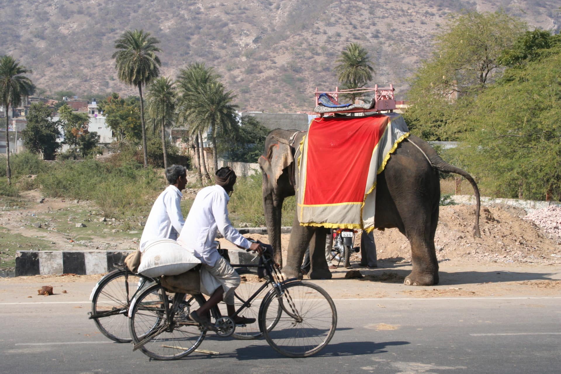 Mit dem Fahrrad durch Rajasthan / Indien