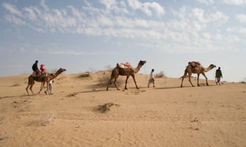 Märchenhaftes Rajasthan - Rundreise mit Kameltrekking durch die Wüste Thar