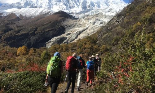 Nepal: Trek rund um den Manaslu (T162): auf dem Weg zum Manaslu Base Camp