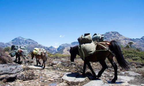 Bhutan 2017 BTS (31)
