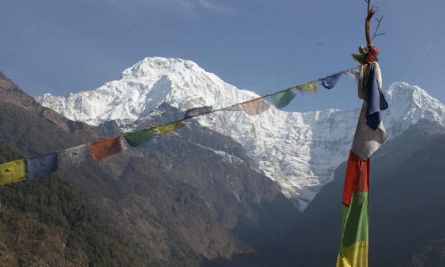 Trek zum Annapurna Base Camp (T101) | Nepal Trekking