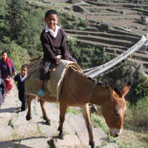 Nepal | Mit dem Muli zur Schule