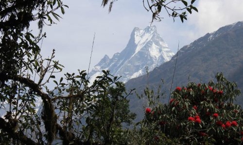 Annapurna Base Camp Trek | Nepal | Machapuchare