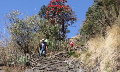 Nepal | Trek zum Annapurna Base Camp (T101): Stairway to heaven