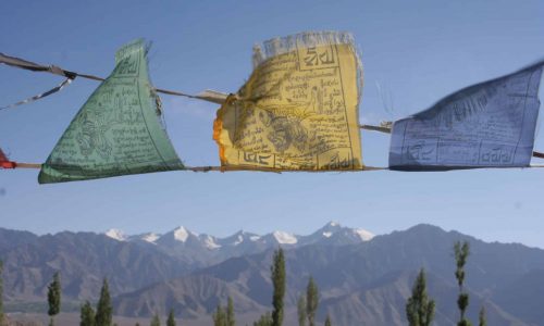 Indien, Ladakh, 2009 (3)