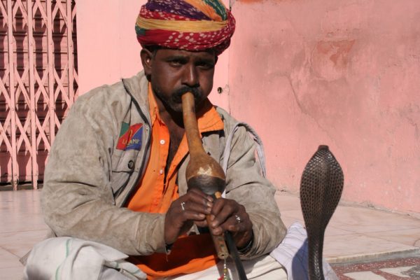 Schlangenbeschwörer in Jaipur, Rajasthan