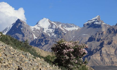 Spiti und Kinnauer | Landschaft oberhalb von Dhankar