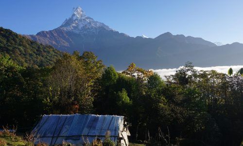 Mardi Himal 2024, Tebuckhorst (4)
