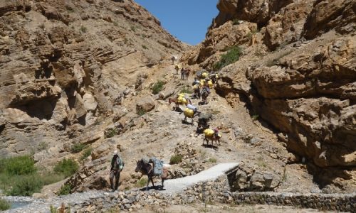 Himalaya, Indien, Spiti, Ladakh, Parang La Trek /Himalaya Fair Trekking (T532)