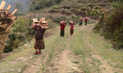 T116 Sikles Trek: Frauen tragen Feuerholz nach Hause. Way to Yanjakot