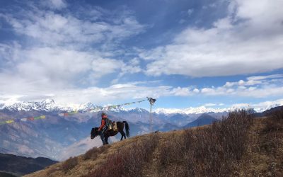 Nepal | Langtang Trek: Blick von Laurebina Yak